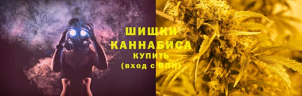 гашик Верея