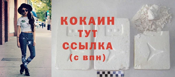 гашик Верея