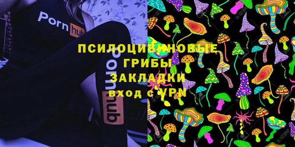 гашик Верея