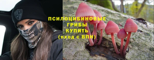MDMA Россошь