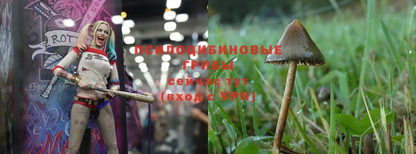 спайс Верхний Тагил