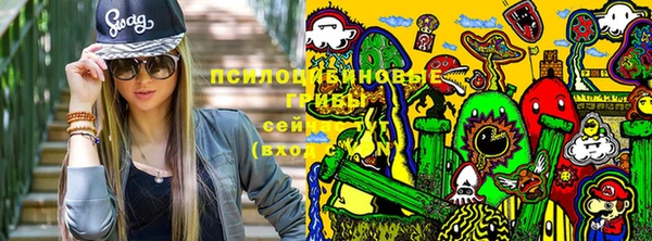 MDMA Россошь