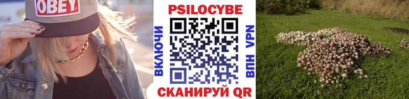 Галлюциногенные грибы прущие грибы  Бородино 
